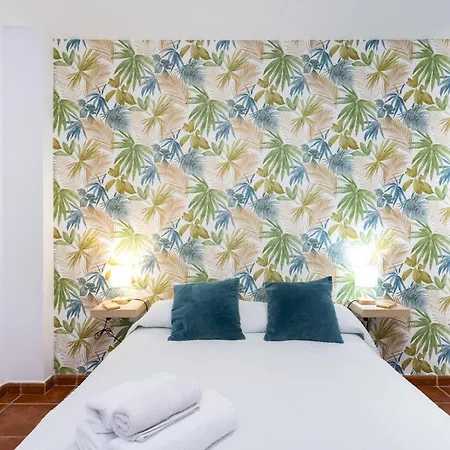 Casa Calma Appartement